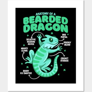 Anatomy Of A Bearded Dragon Posters and Art